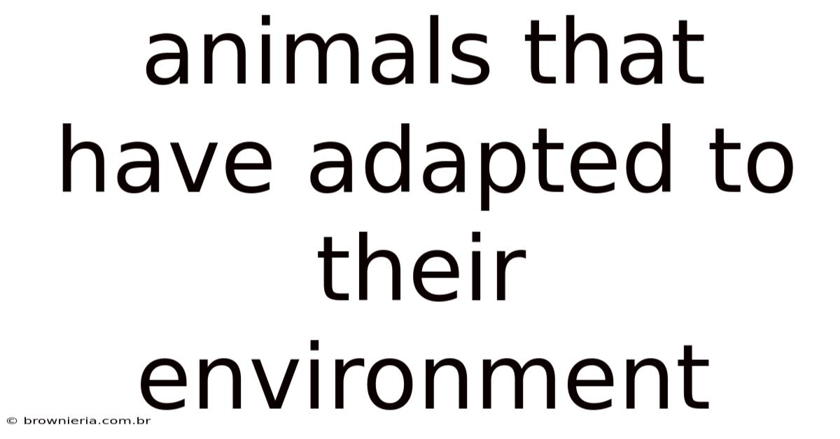 Animals That Have Adapted To Their Environment