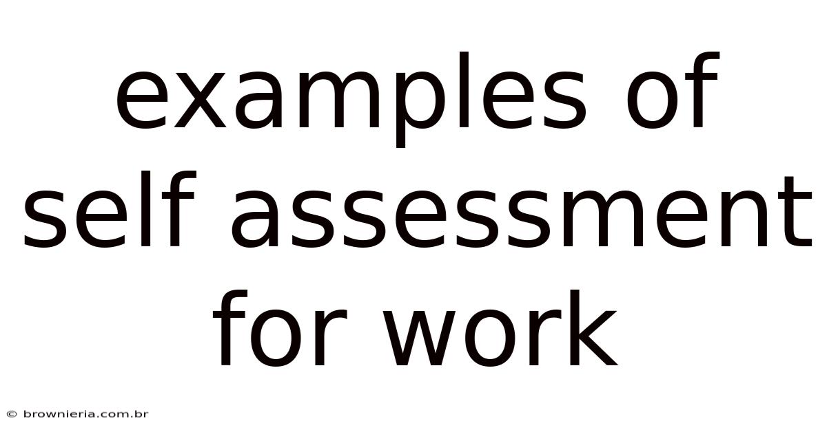 Examples Of Self Assessment For Work