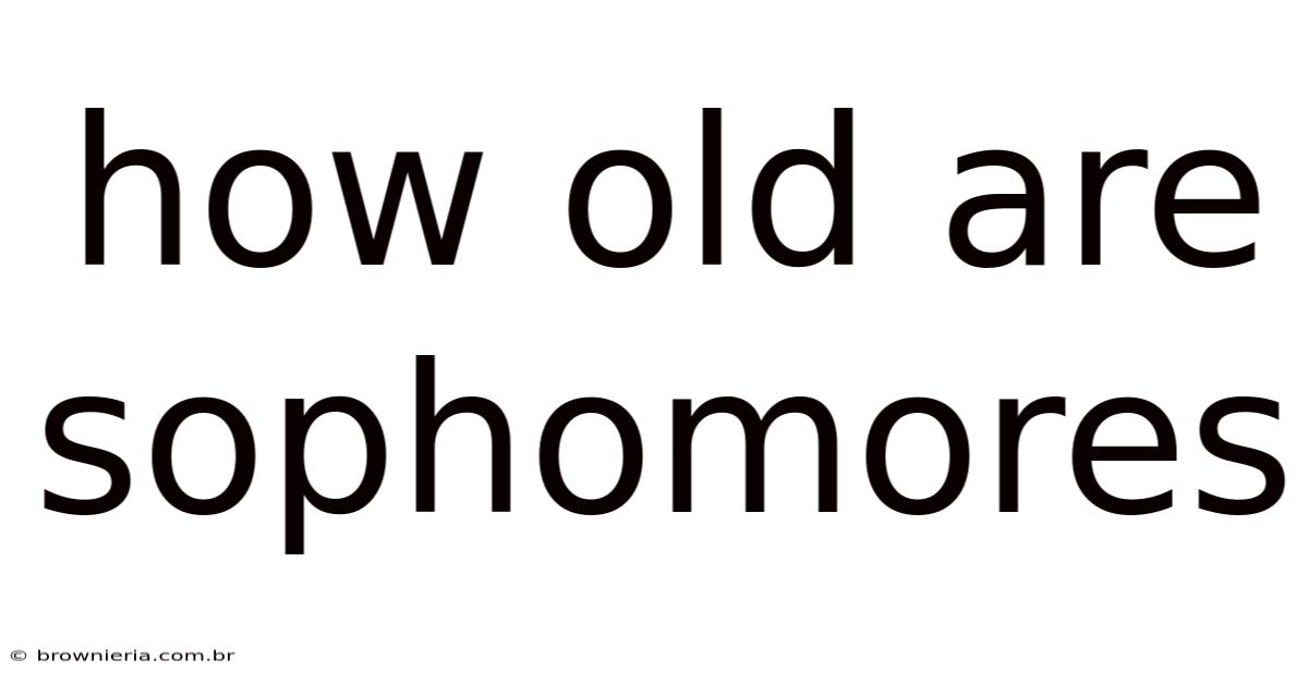 How Old Are Sophomores