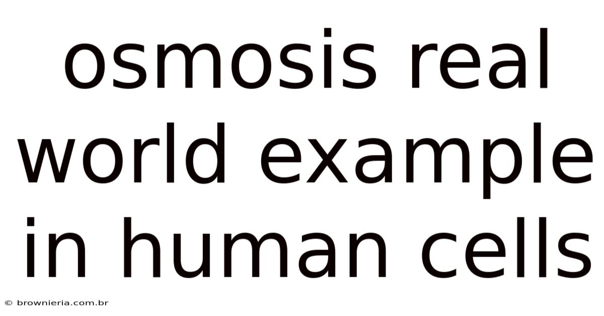 Osmosis Real World Example In Human Cells