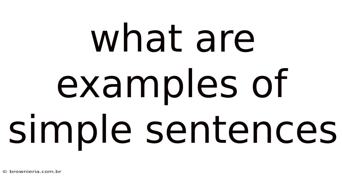 What Are Examples Of Simple Sentences
