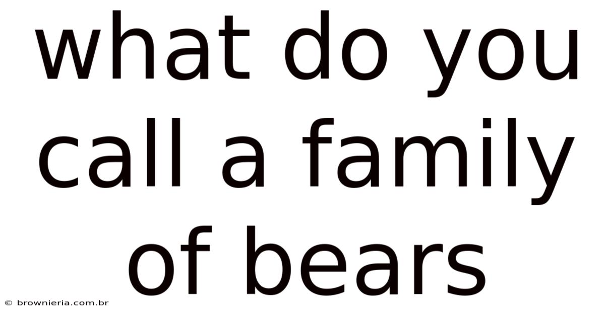 What Do You Call A Family Of Bears