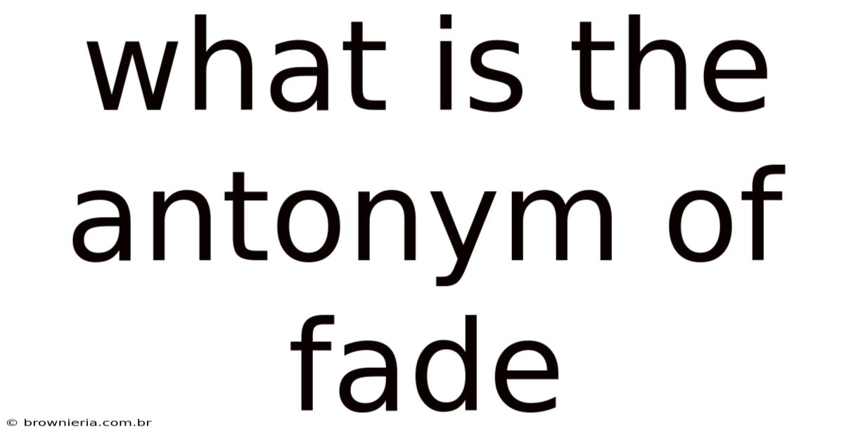 What Is The Antonym Of Fade