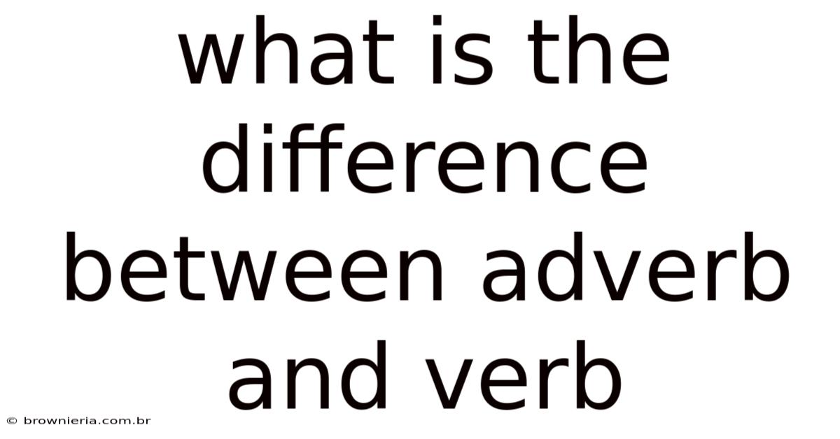 What Is The Difference Between Adverb And Verb