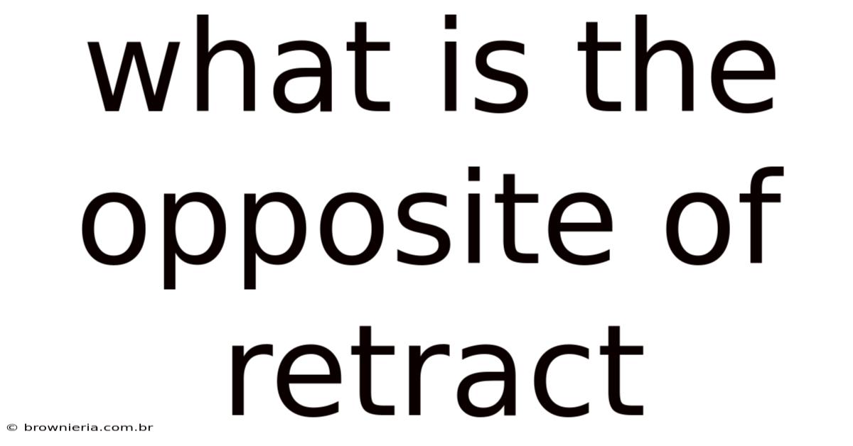 What Is The Opposite Of Retract
