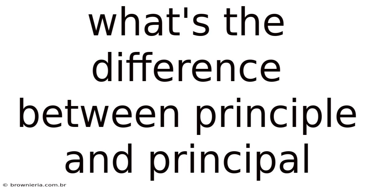 What's The Difference Between Principle And Principal