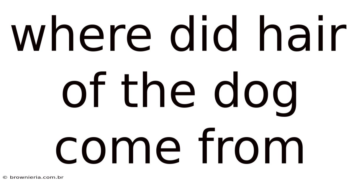 Where Did Hair Of The Dog Come From